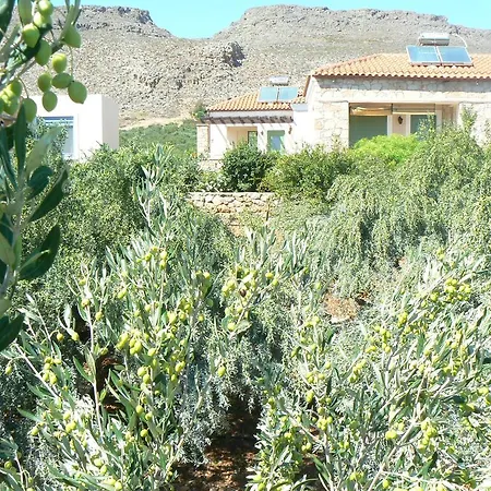 Alkionides * Xerokampos (Crete)