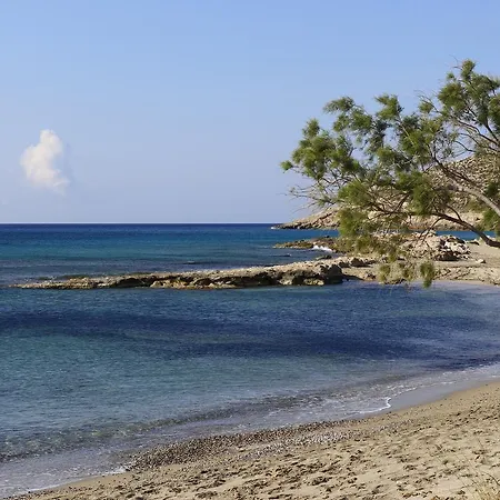 Alkionides * Xerokampos (Crete)